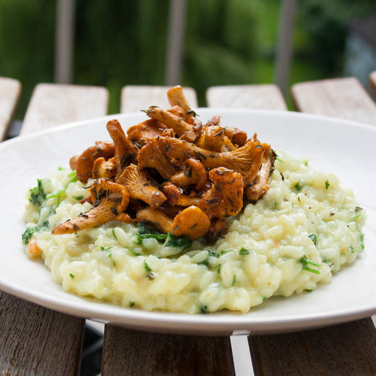 Pfifferling-Risotto mit Petersilie - The Vegetarian Diaries